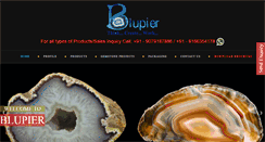 Desktop Screenshot of blupier.com